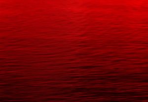 Marea Roja alertarà els turistes sobre el tracte que rep la cultura